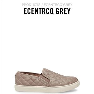 Steve Madden Sneakers